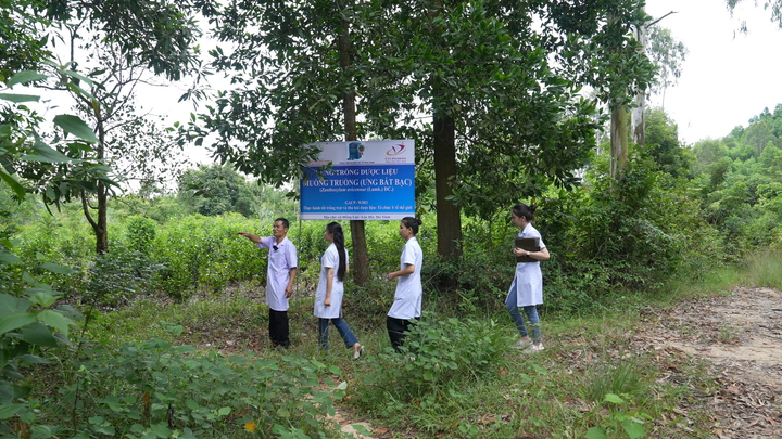 Heposal hiệu quả toàn diện, chuyên biệt cho người bệnh gan - 4