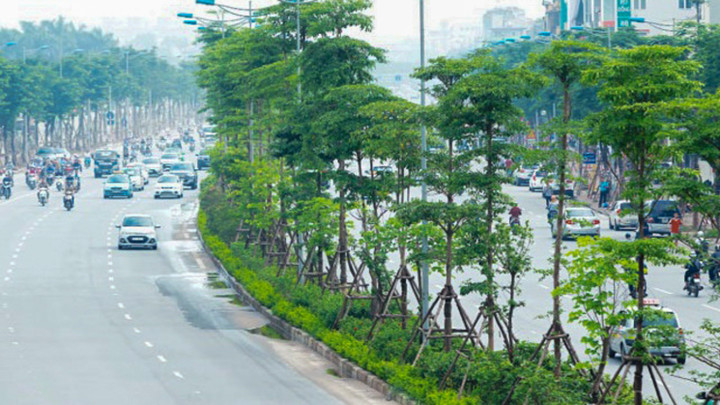 Bộ Công an yêu cầu định giá cây xanh trồng ở Hà Nội giai đoạn 2016-2018 - 1