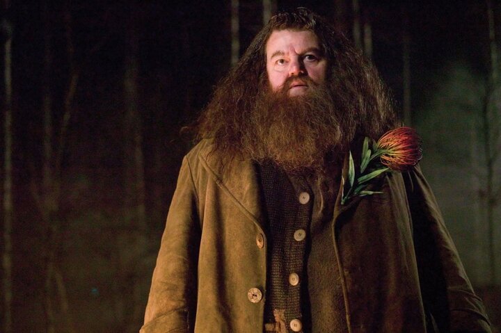 'Bác Hagrid' của phim 'Harry Potter' qua đời ở tuổi 72 - 1