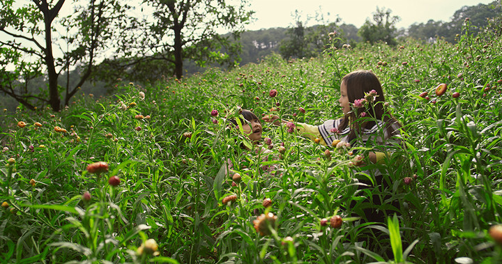 Phim 'Memento Mori: Đất' - 85 phút thiền định về cái chết và sự sống - 5