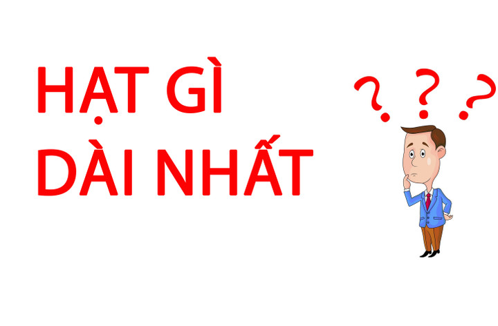 Hạt gì dài nhất? - 1