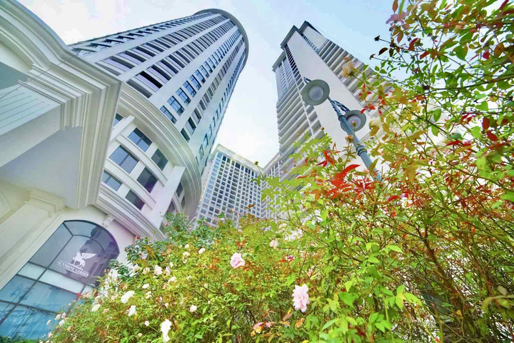 Không gian 'nhà Sunshine' bừng sức sống giữa ánh nắng rực rỡ - 7