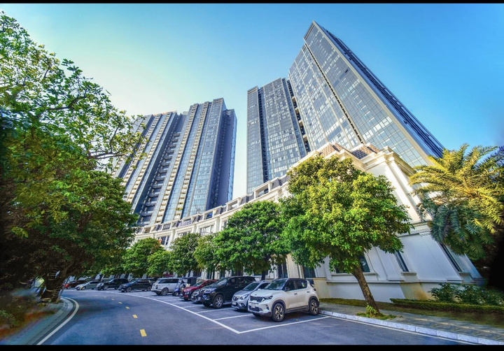 Không gian 'nhà Sunshine' bừng sức sống giữa ánh nắng rực rỡ - 9