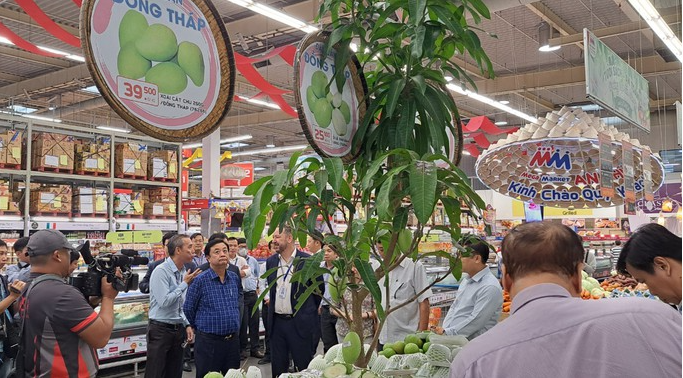 3 giờ sáng, Bộ trưởng Lê Minh Hoan xuất hiện ở chợ đầu mối Bình Điền - 6