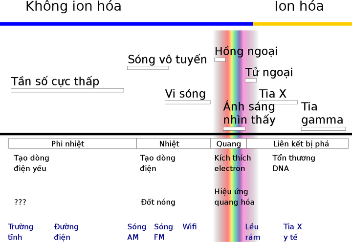 Nấu ăn bằng lò vi sóng và những điều không phải ai cũng biết - 3
