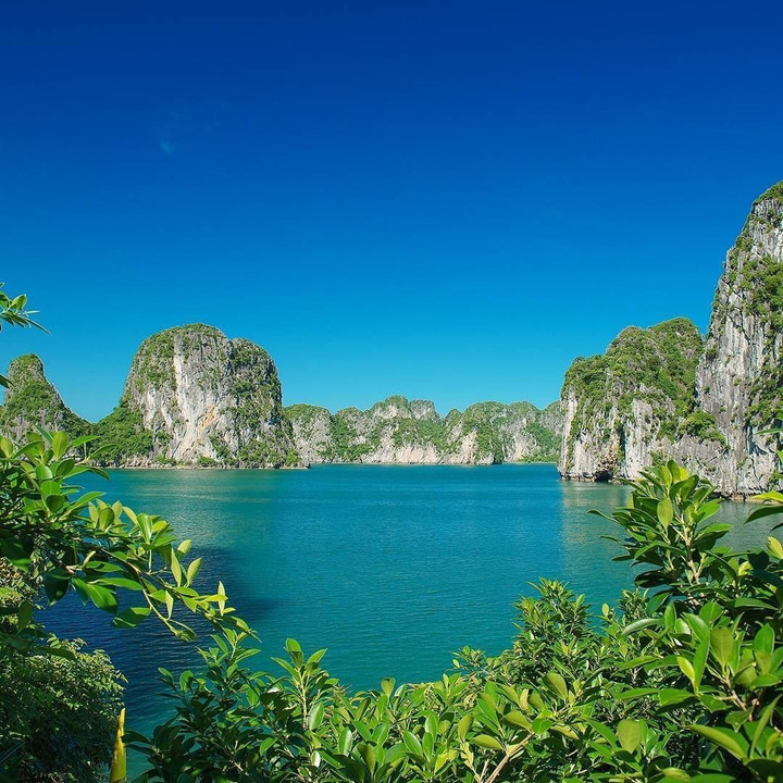 Vẻ đẹp nguyên sơ, ít người đặt chân đến ở ‘mắt rồng’ giữa lòng vịnh Hạ Long - 3