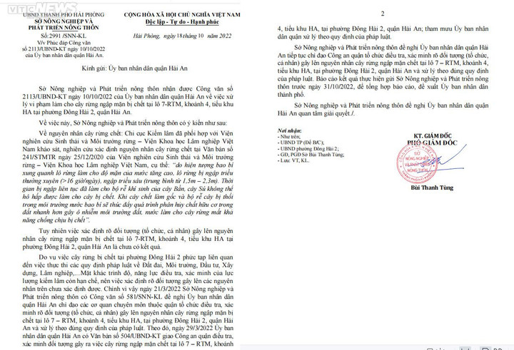 Rừng ngập mặn ở Hải Phòng chết khô: Sở yêu cầu quận tiếp tục chỉ đạo điều tra - 1