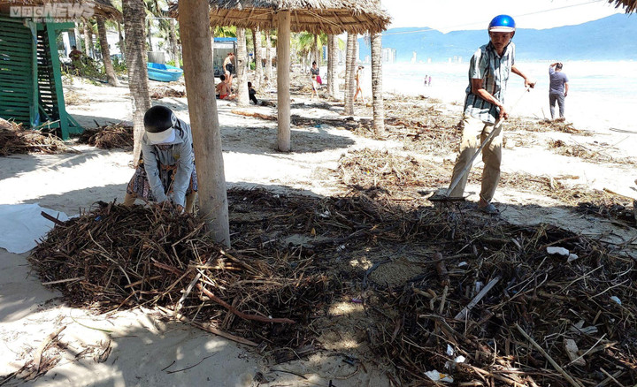 Sóng xé toạc bờ, hàng trăm tấn rác phủ kín biển Đà Nẵng sau mưa lũ lịch sử - 9