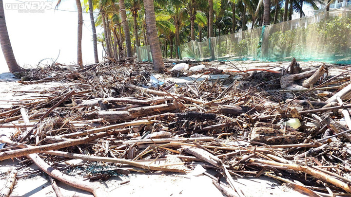 Sóng xé toạc bờ, hàng trăm tấn rác phủ kín biển Đà Nẵng sau mưa lũ lịch sử - 10