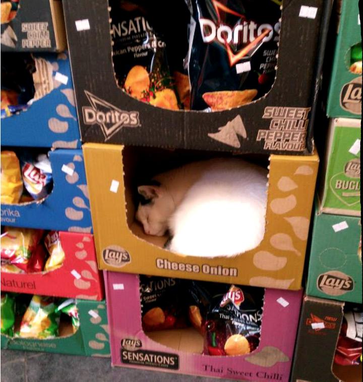 Tổng hợp khoảnh khắc khó hiểu hài hước vô tình bắt gặp trong siêu thị - 8