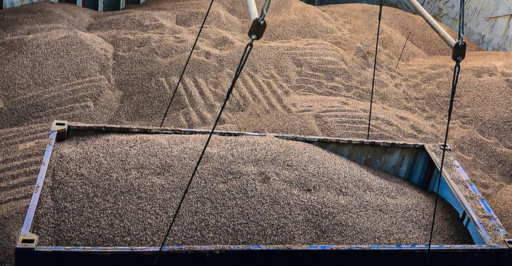 Cảng Chu Lai phát triển mạnh dịch vụ xuất nhập khẩu hàng rời - 5