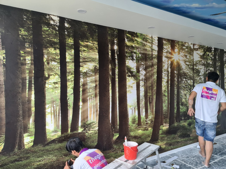 Thế giới giấy dán tường thi công tranh dán tường 3D Resort Hàng Dương - 2