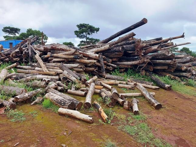 Cựu Chủ tịch tỉnh Gia Lai vừa bị cách chức tiếp tục xin đi chữa bệnh - 2