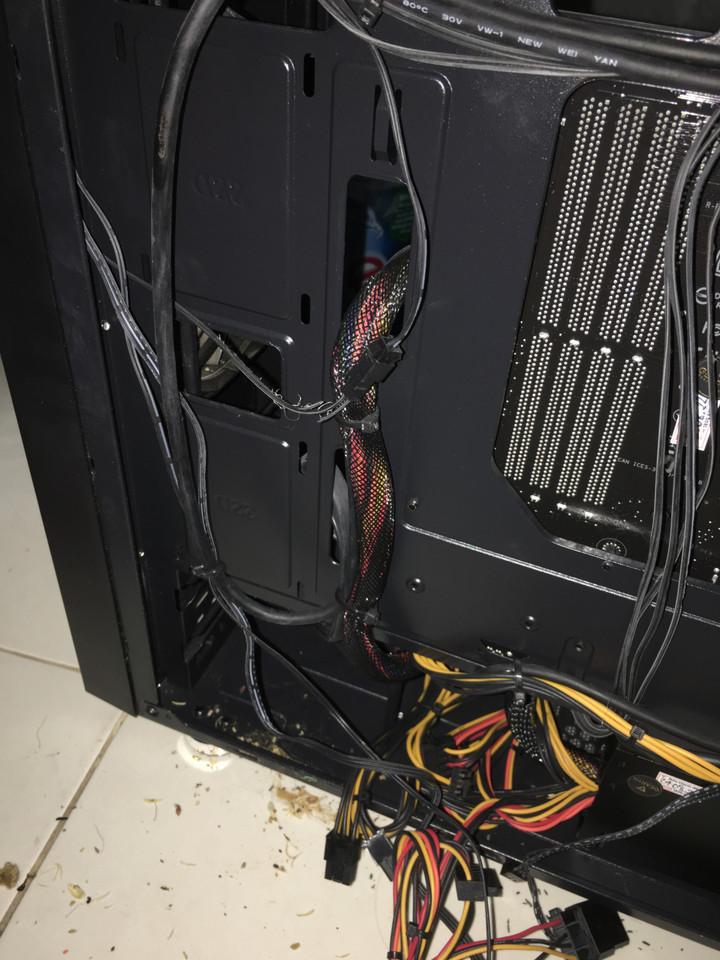 Dở khóc dở cười với ‘máy bắt chuột thế hệ mới’ được thanh niên vô tình phát hiện - 3