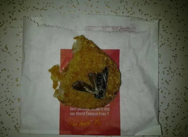 'Sợ hãi tột độ' trước sự hiện diện của loài gián khắp mặt trận ăn uống - 7