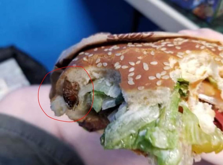 'Sợ hãi tột độ' trước sự hiện diện của loài gián khắp mặt trận ăn uống - 5