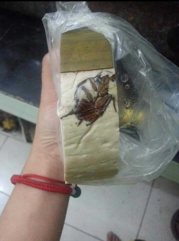 'Sợ hãi tột độ' trước sự hiện diện của loài gián khắp mặt trận ăn uống - 8