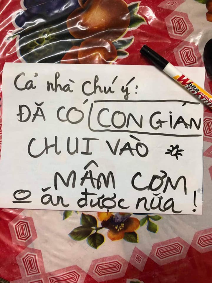'Sợ hãi tột độ' trước sự hiện diện của loài gián khắp mặt trận ăn uống - 10