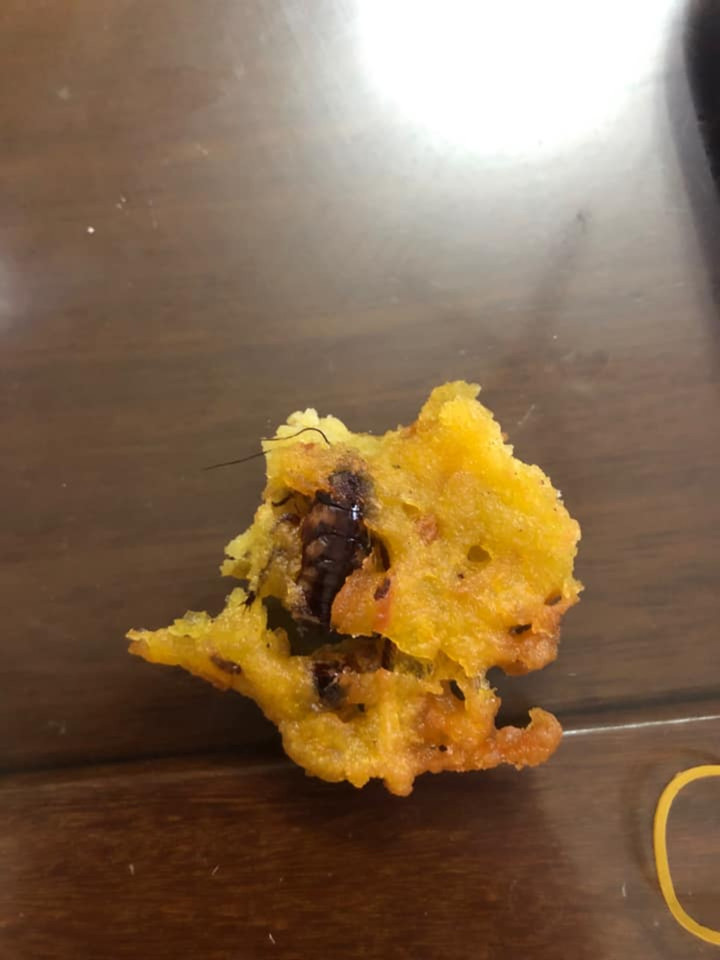 'Sợ hãi tột độ' trước sự hiện diện của loài gián khắp mặt trận ăn uống - 4