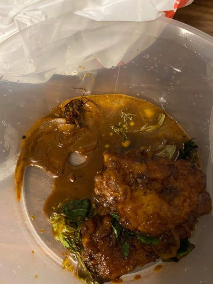 'Sợ hãi tột độ' trước sự hiện diện của loài gián khắp mặt trận ăn uống - 2