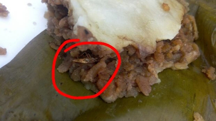 'Sợ hãi tột độ' trước sự hiện diện của loài gián khắp mặt trận ăn uống - 6