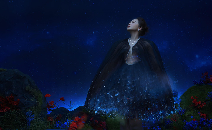 Lương Bích Hữu trở lại đầy ấn tượng, khuynh đảo sân khấu ca nhạc Việt Nam - 1