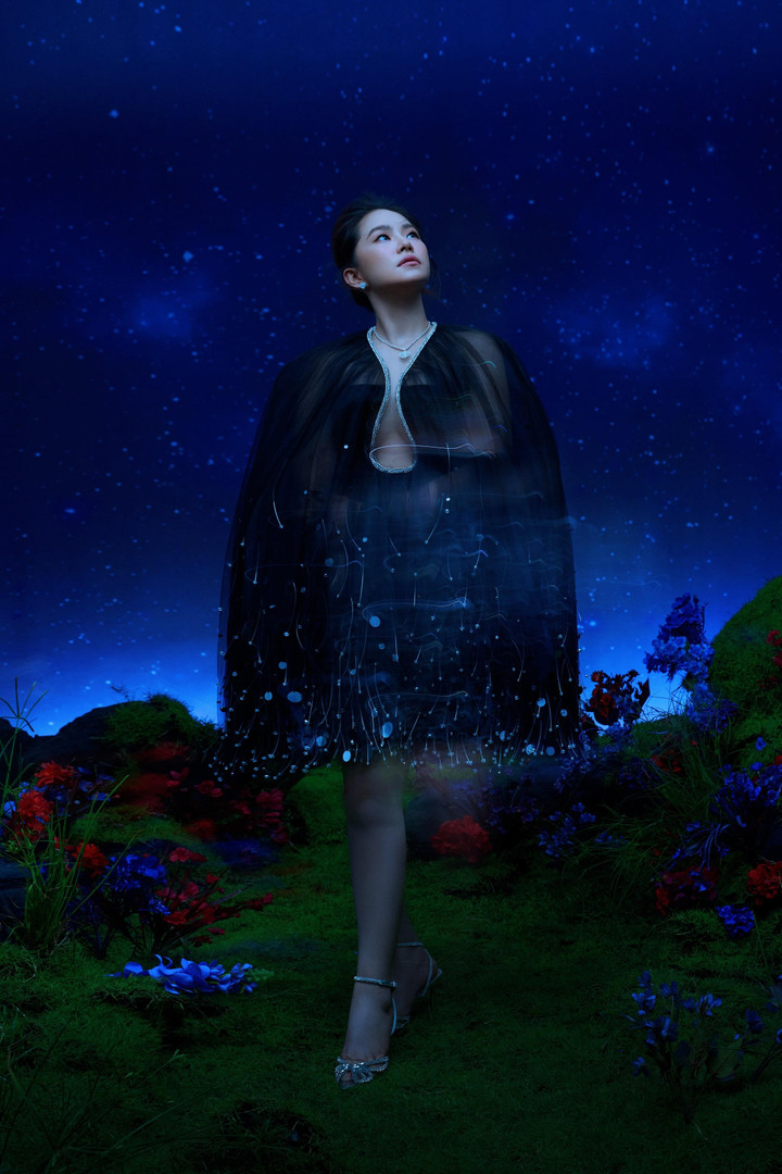 Lương Bích Hữu trở lại đầy ấn tượng, khuynh đảo sân khấu ca nhạc Việt Nam - 2