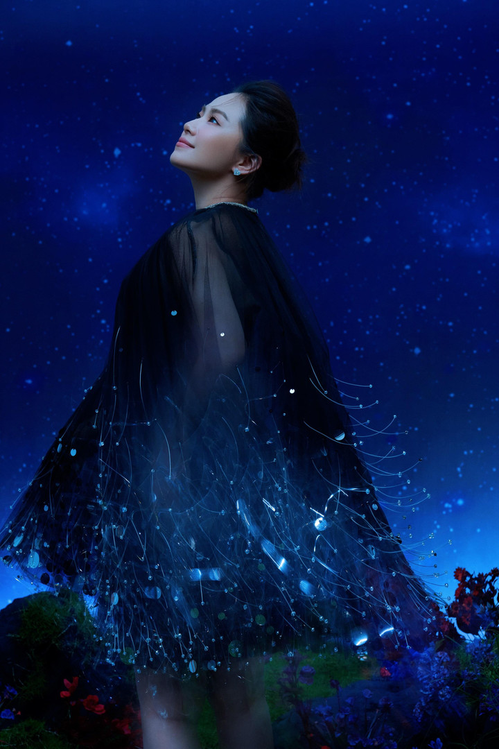 Lương Bích Hữu trở lại đầy ấn tượng, khuynh đảo sân khấu ca nhạc Việt Nam - 3