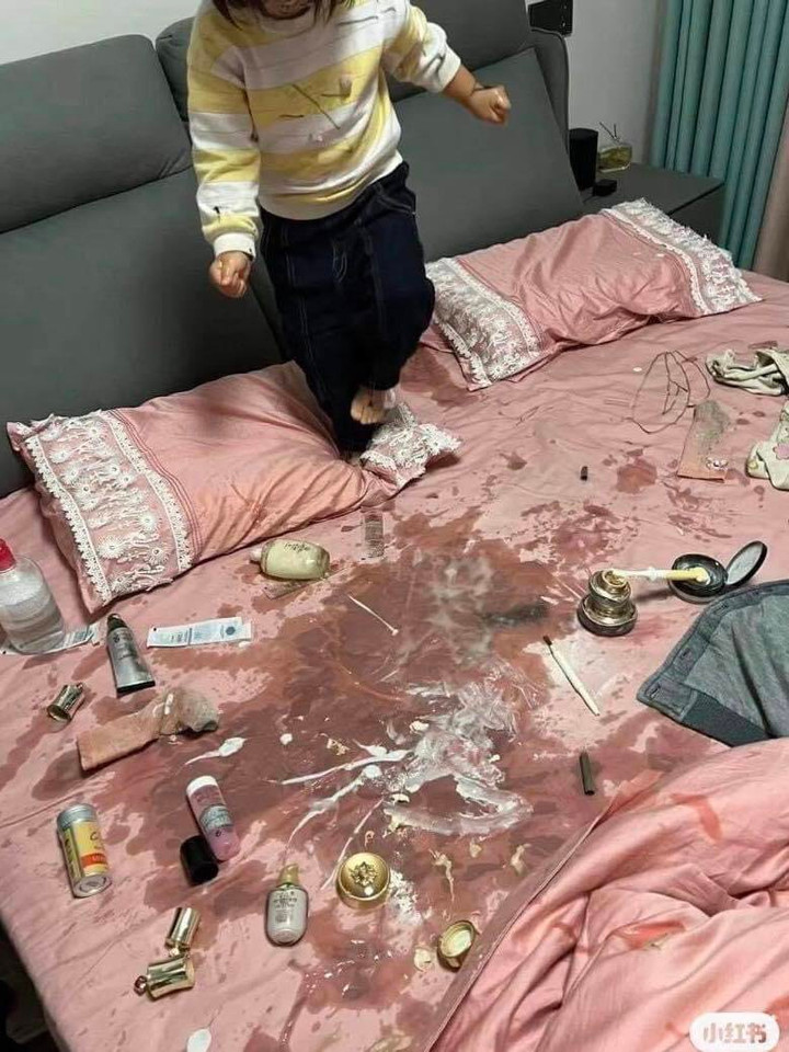 Thảm cảnh khi gia đình trót nuôi phải hội 'báo con', nhìn mà tức phát khóc - 1