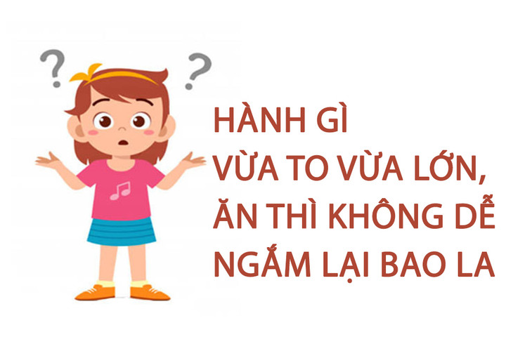 Hành gì vừa to vừa lớn, ăn thì không dễ ngắm lại bao la? - 1