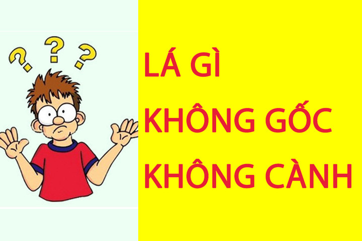 Lá gì không gốc không cành? - 1