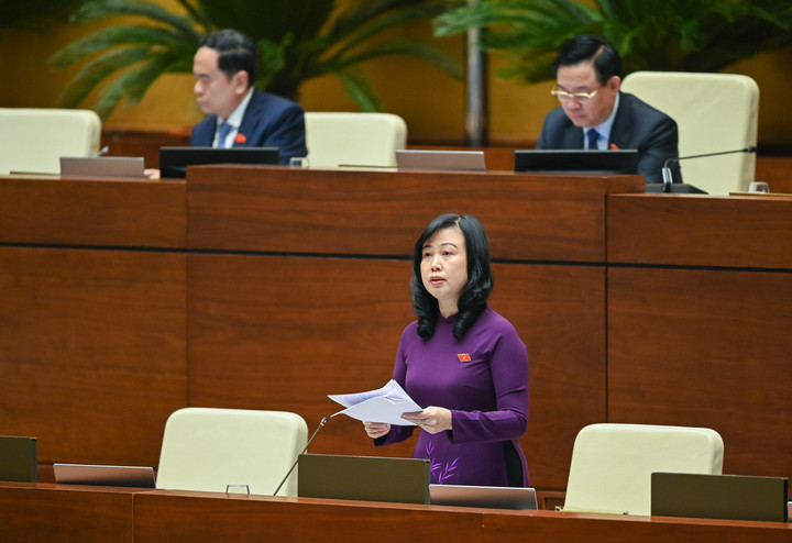 Nhiều ý kiến về đề xuất lập Hội đồng Y khoa Quốc gia, Bộ trưởng Y tế lên tiếng - 1