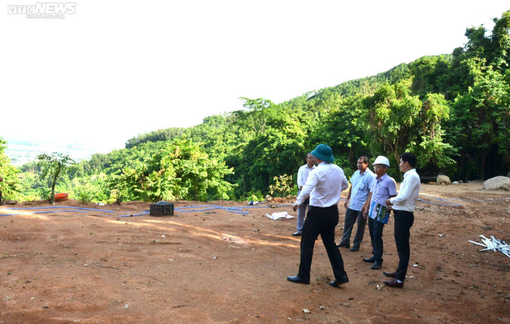 Doanh nghiệp cày nát rừng Hải Vân để trồng dược liệu bị phạt 50 triệu đồng - 2