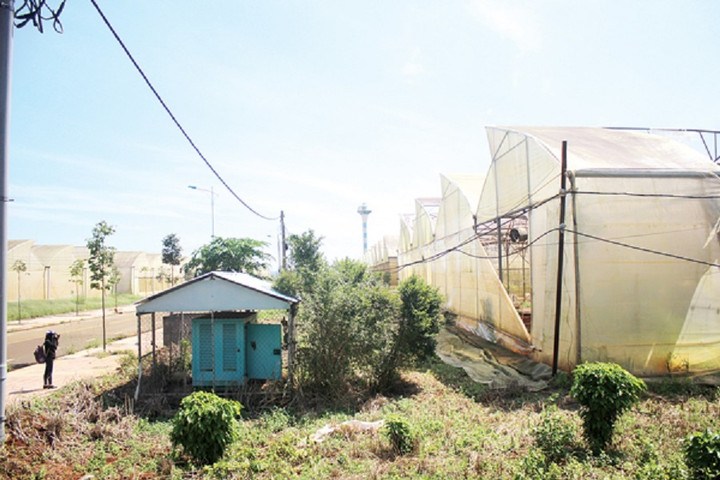 Khởi tố, bắt tạm giam nguyên Phó Giám đốc Sở Khoa học và Công nghệ Đồng Nai - 1