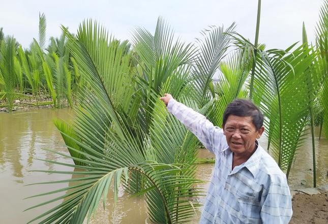 Có một 'đảo ngọc' ở Sài Gòn, nơi 'miễn nhiễm sốt đất' - 2