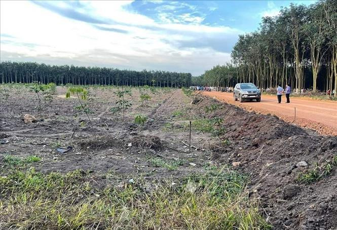 Điều tra vụ đập phá xe ô tô, dùng cuốc đánh chết chủ xe ở rẫy cao su - 1