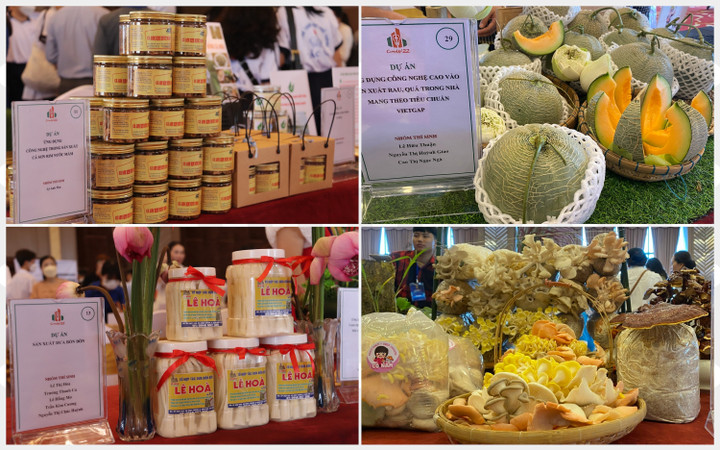 Phó Chủ tịch tỉnh Cà Mau: Tỉnh đã chọn được nhiều ý tưởng khởi nghiệp sáng tạo - 5