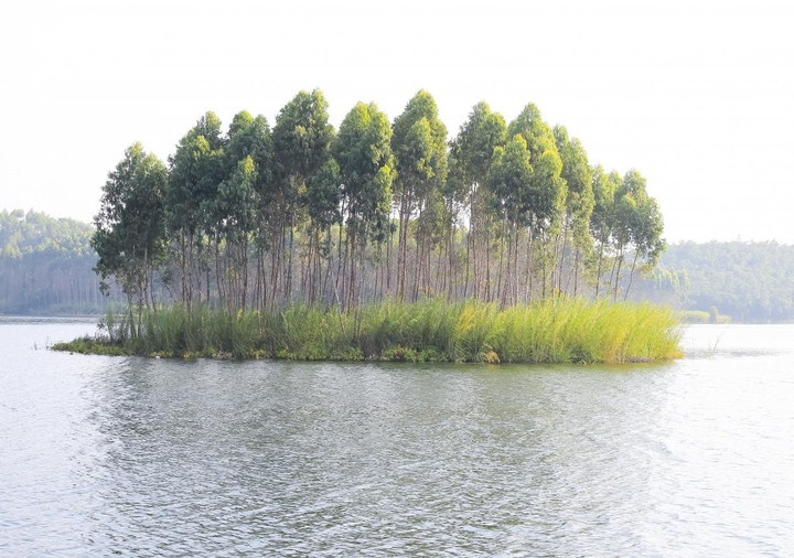 Ảnh: Vẻ quyến rũ mê hồn của hồ Thác Bà mùa nước nổi - 3