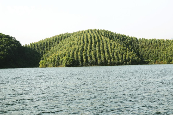 Ảnh: Vẻ quyến rũ mê hồn của hồ Thác Bà mùa nước nổi - 7