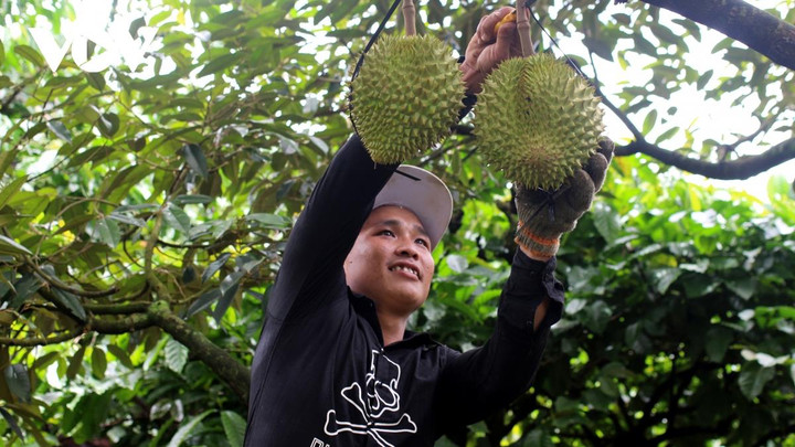 Điều chỉnh biên độ tỷ giá: 70% hợp đồng xuất khẩu có cơ hội hưởng lợi - 1