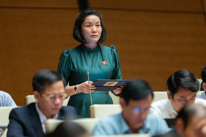 ĐBQH: Cả tỉnh Quảng Bình chỉ có 1 doanh nghiệp được vay 500 triệu đồng - 1