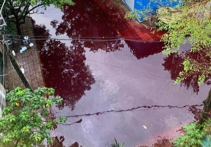 Vì sao chưa tìm ra nguyên nhân nước màu đỏ sẫm dâng tràn lên đường ở TP.HCM? - 2