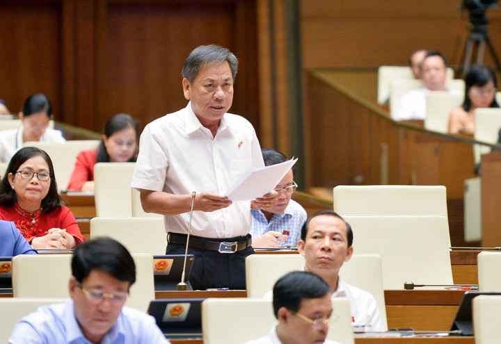 ĐBQH: Khai thác cát tràn lan khiến Đồng bằng sông Cửu Long bị sụt lún, thu hẹp - 1