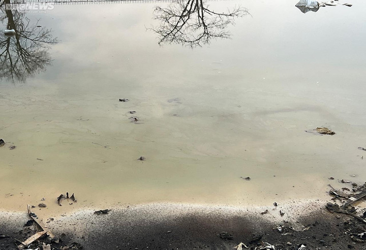 TP.HCM: Hiện trường hoang tàn sau 3 tháng cháy kho hóa chất của Cty An Minh Thức - 4