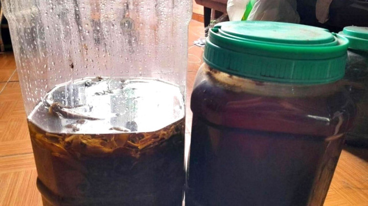 Uống rượu thuốc tự ngâm, người tử vong, người nguy kịch - 1