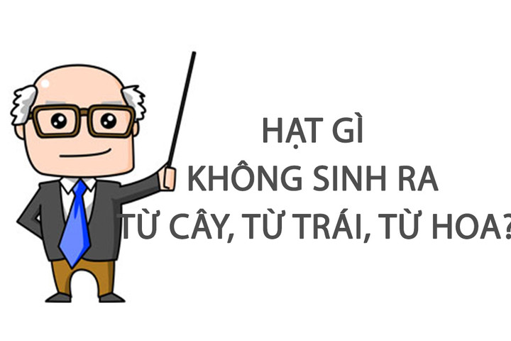 Hạt gì không sinh ra từ cây, từ trái, từ hoa? - 1