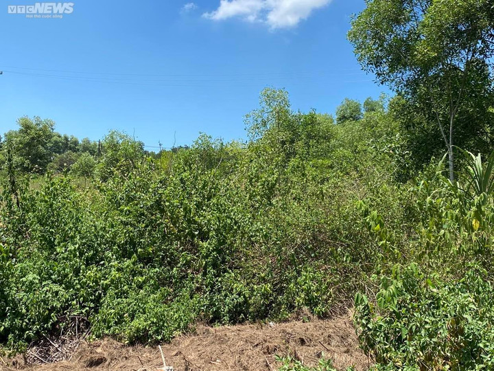 Dự án bãi đậu xe 'treo' hơn nửa thập kỷ sau khi san phẳng mộ vợ vua nhà Nguyễn - 3