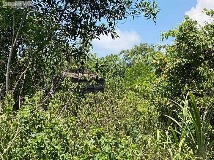 Dự án bãi đậu xe 'treo' hơn nửa thập kỷ sau khi san phẳng mộ vợ vua nhà Nguyễn - 2