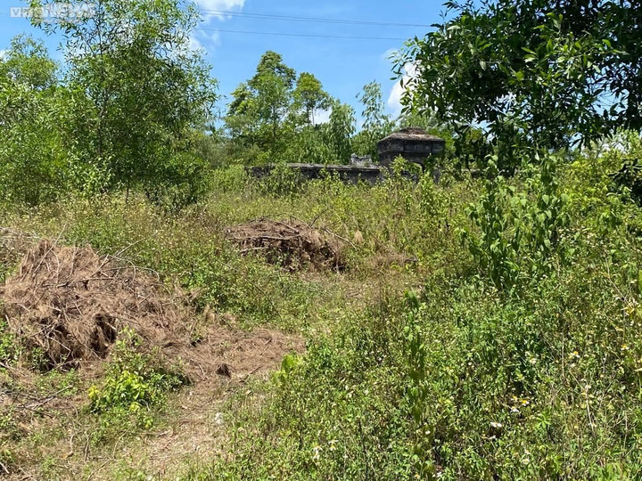 Dự án bãi đậu xe 'treo' hơn nửa thập kỷ sau khi san phẳng mộ vợ vua nhà Nguyễn - 4