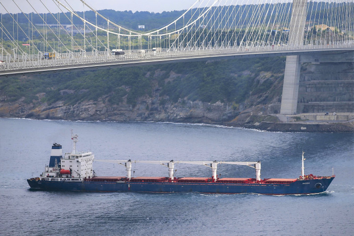 Nga dừng thỏa thuận ngũ cốc, tàu hàng Ukraine vẫn nối đuôi nhau xuất cảng - 1